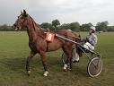 logiciel hippique turf